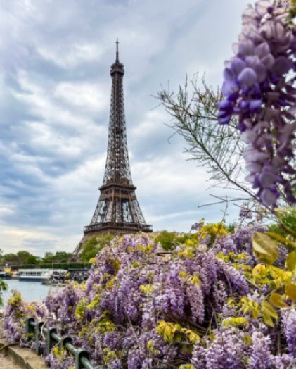 Traveliso Tours group travel Europe