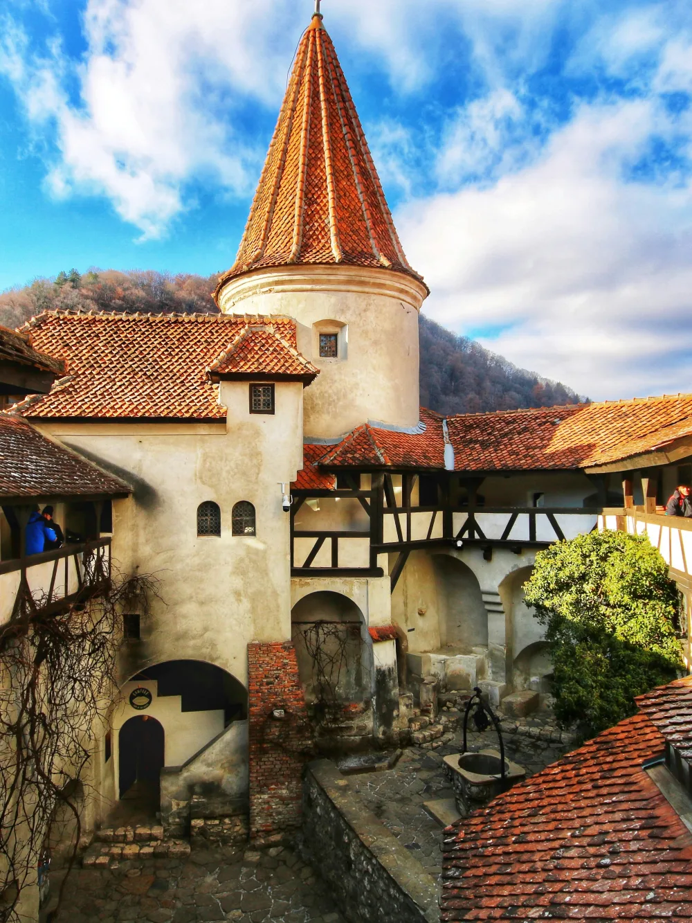 Flavors & Rhytms of Southeastern Europe